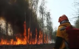 Видео: пожары в Якутии 2021